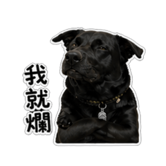 藍寶寶 2.0