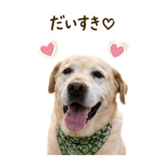 reina_20260501161823