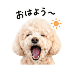 puuu_20260501160936
