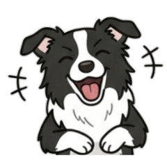 A BorderCollie 's cheerful greeting