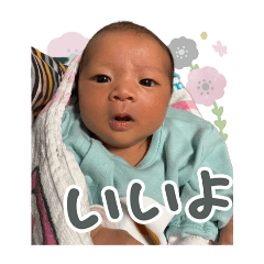 maemon_20260501161841