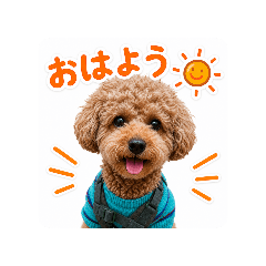 LUKE06_20260501161950