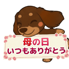 Animalcreation_20260503111301
