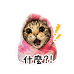 豆豆小男孩