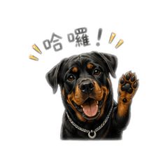 妞妞 貼圖