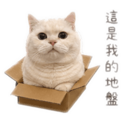 滷蛋ㄉ日常