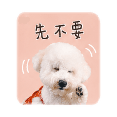 雪Q餅的100種表情包