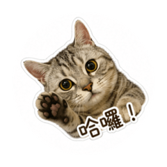 璐璐喵