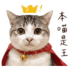 盧咪