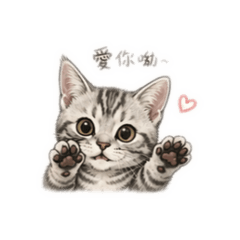 Babu 小王子