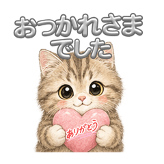 kyopy_20260501202255