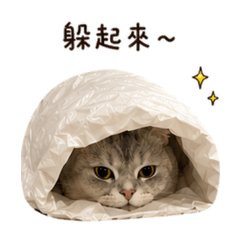 賀比日常