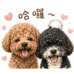 小乖&小皮