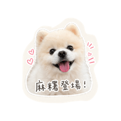 麻糬禿屁屁