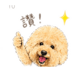 阿孬