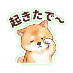 Omocchi_20260501164527