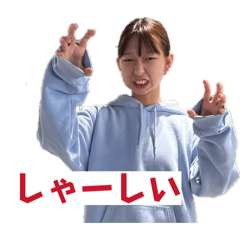Dolphin_20260501164947