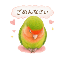 fumi_20260501165352