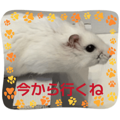 reitan_20260501165108