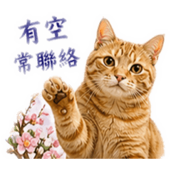 恰bu吉