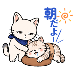 Sugaara_20260502171013
