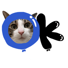 natsu73_20260501183545