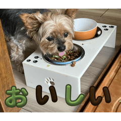 mayu_20260501183806