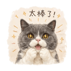 糯米阿米米