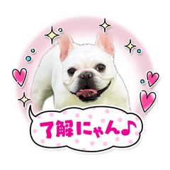 shiori_20260501185230