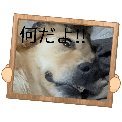 e.m_20260501185224