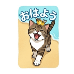 mi-chan originalsticker