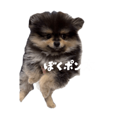 akari719_20260501192706