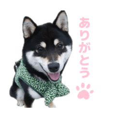 ume_20260501205149