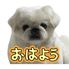 yukke_20260501205004