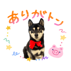 Taka2026
