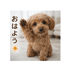 hidamari_20260501205447