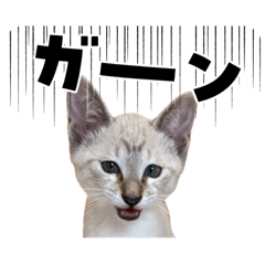 NNNM_20260501204901