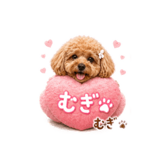 Mugi_20260501204749