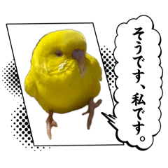 kinako_20260501205537