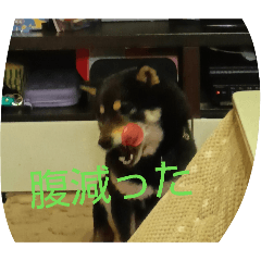TAKUMI_20260501210012