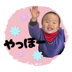 mip_20260501204940