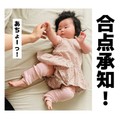 Pudding suzu mode_20260501205422