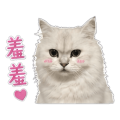 圓圓日誌