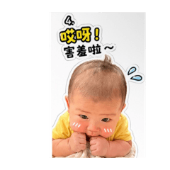 哆vs呱 2