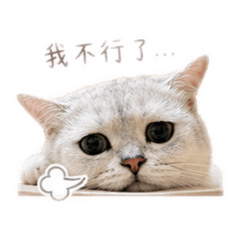叉奔不想上班