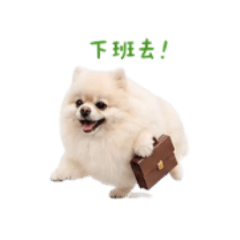 蔡乖乖賺飼料