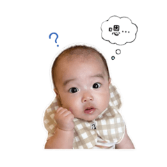 蔡包BABY-1