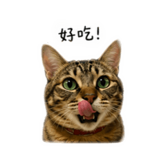 Miru miruru
