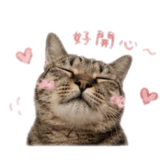 Milu咪嚕日常 2.