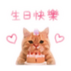 小咪話日常4